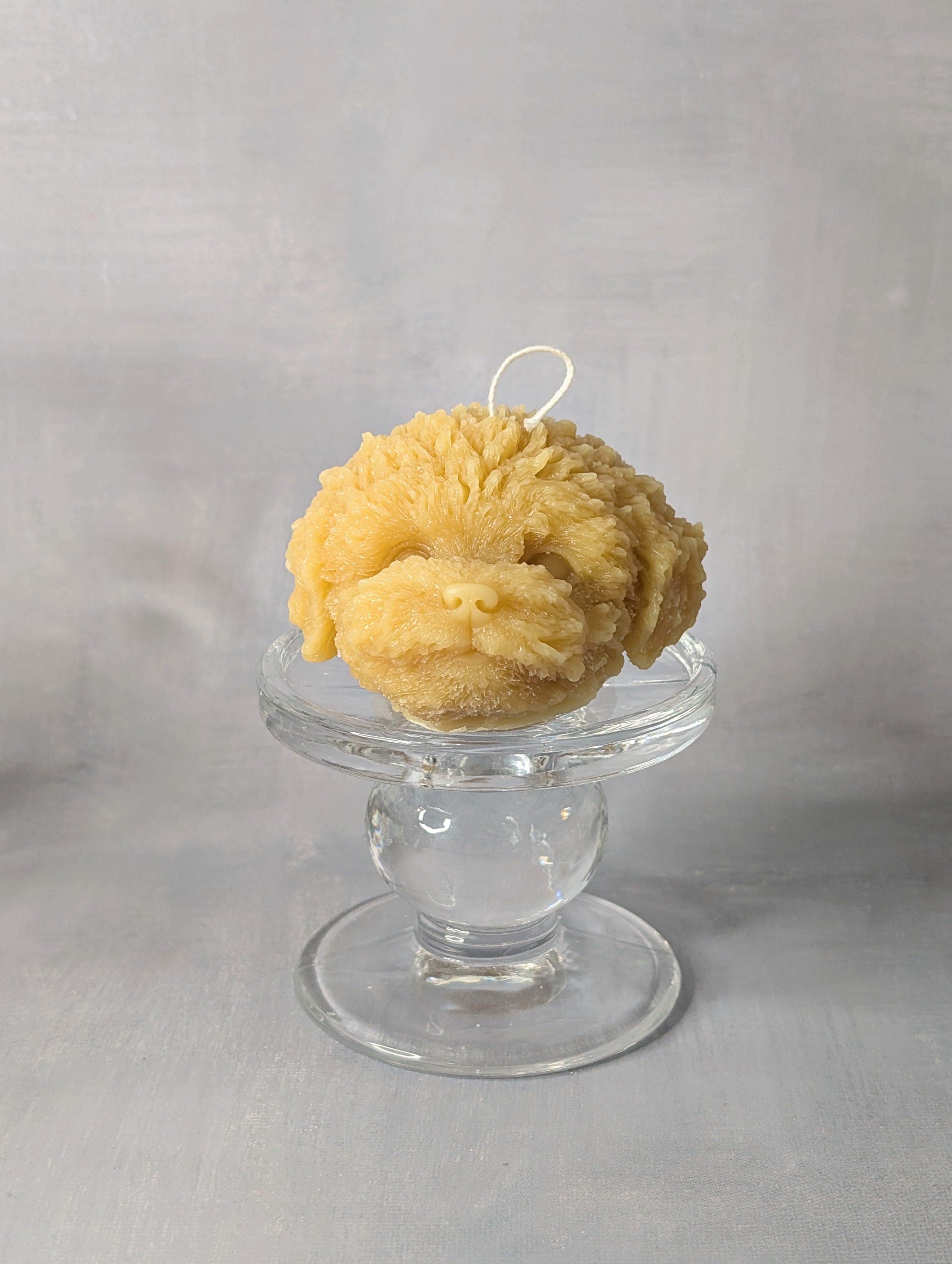 Teddy Dog Candle