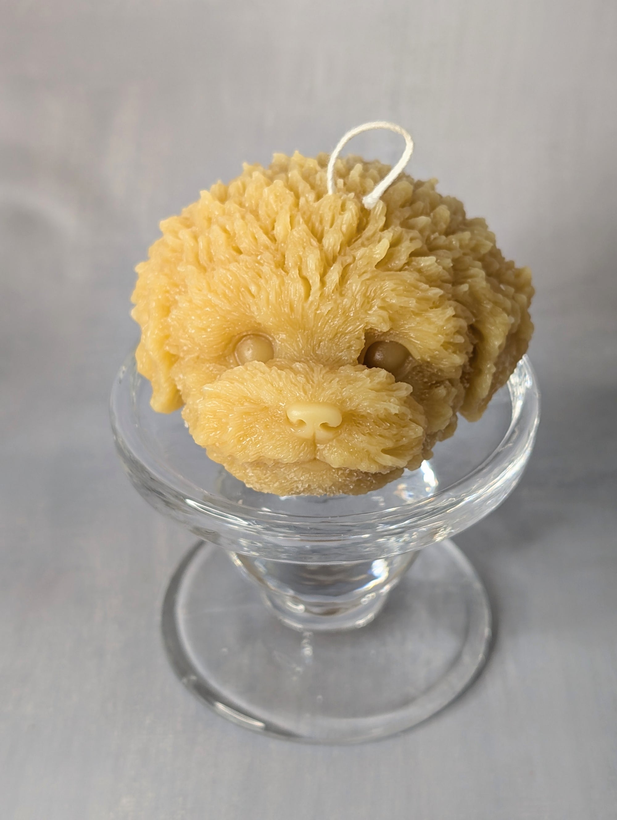 Teddy Dog Candle
