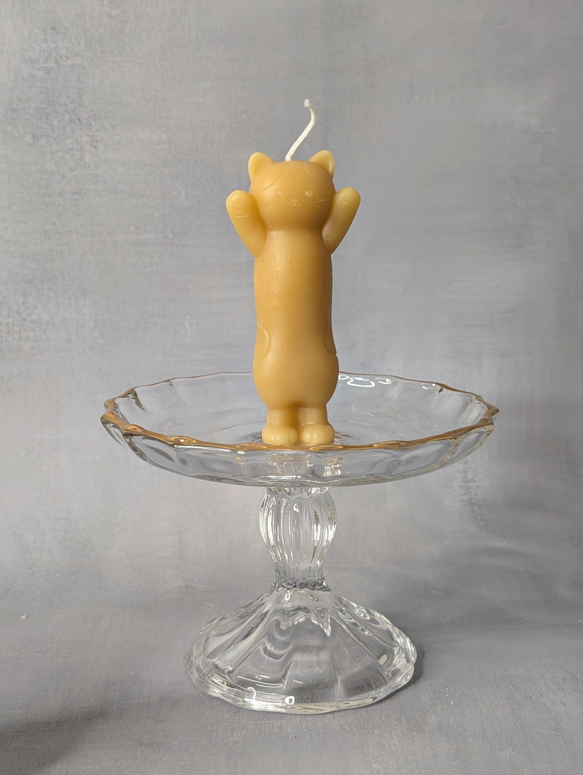 Playful Cat Candles
