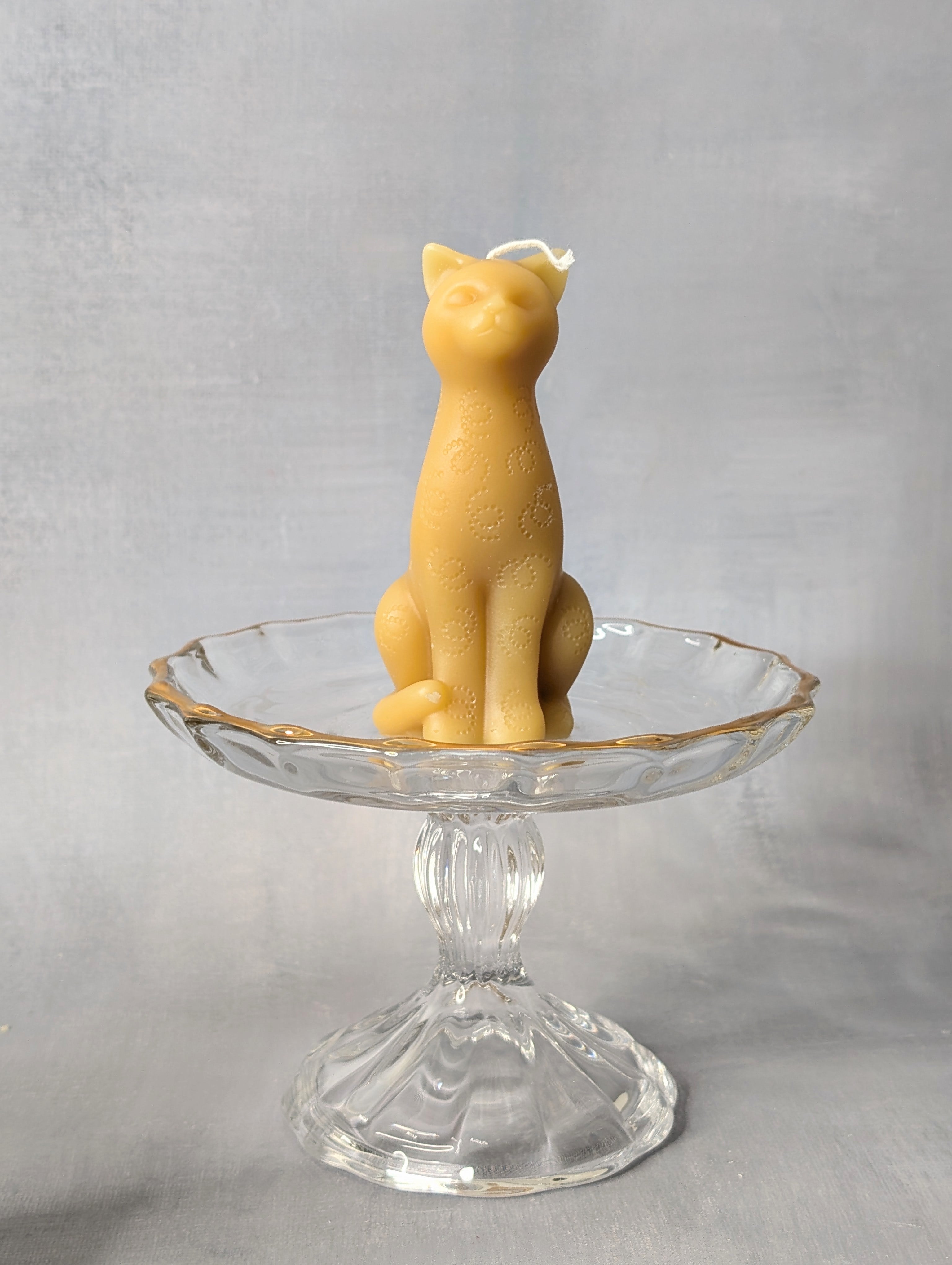 Playful Cat Candles