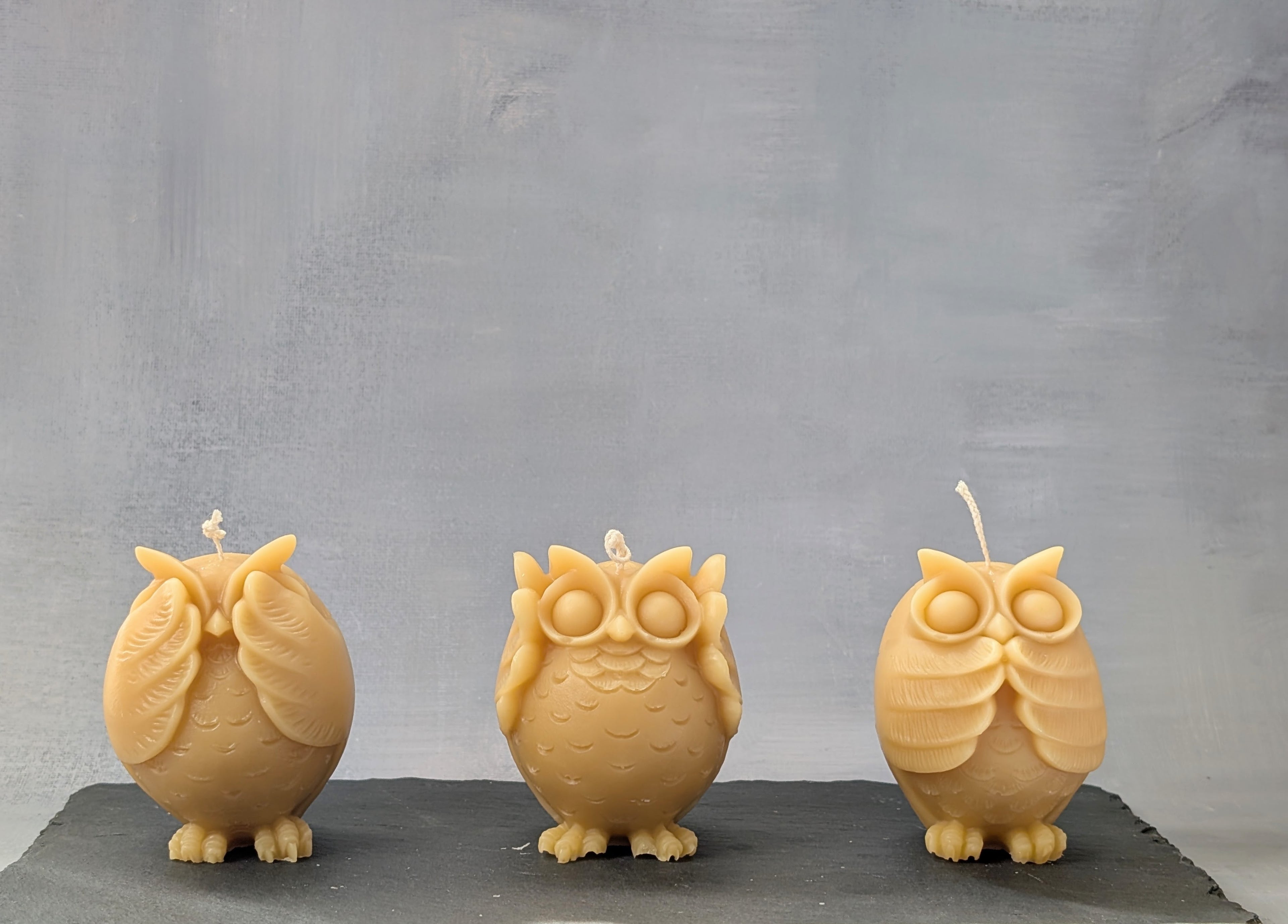 The Owl Enlightenment Set