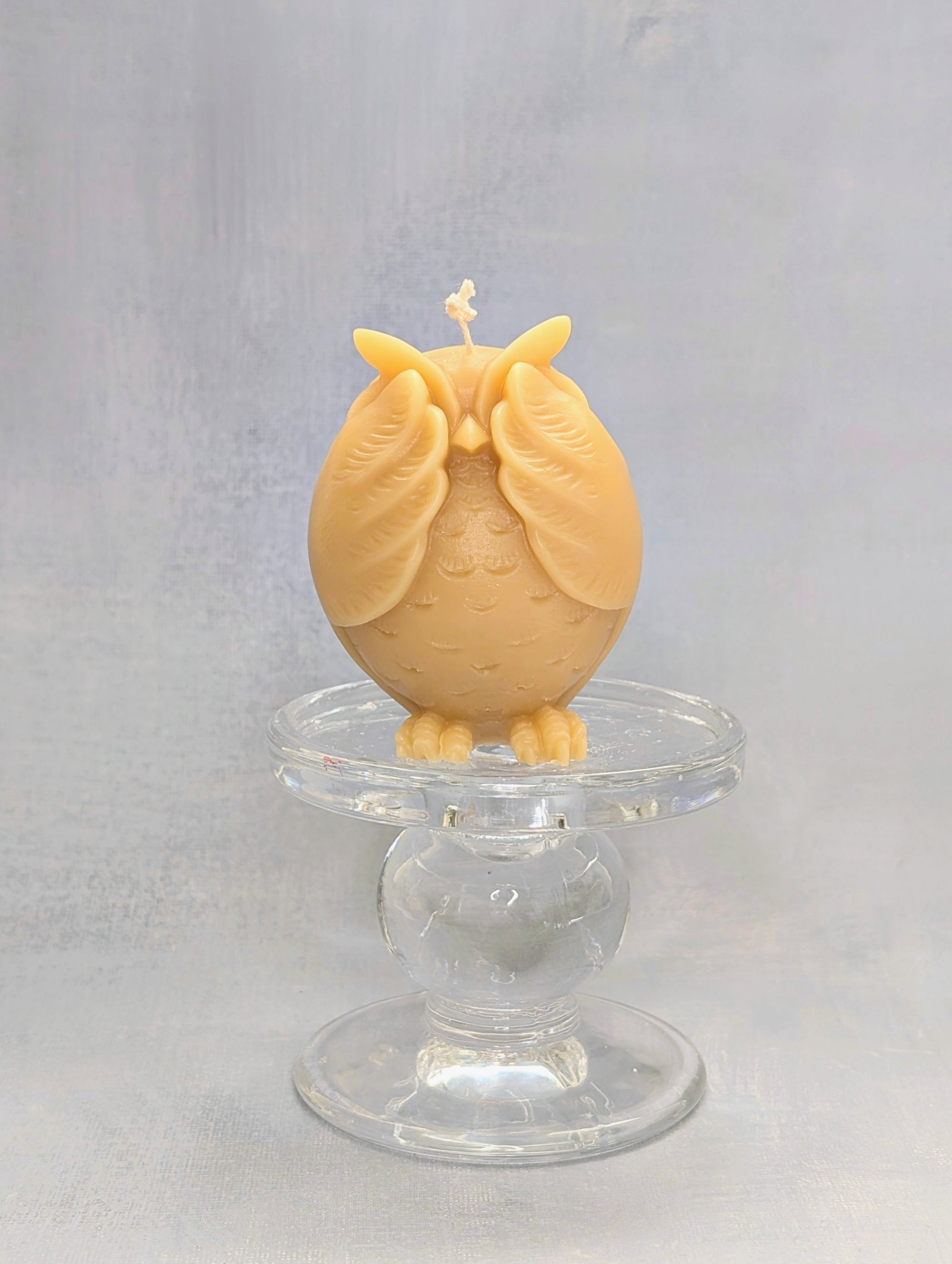 The Owl Enlightenment Set