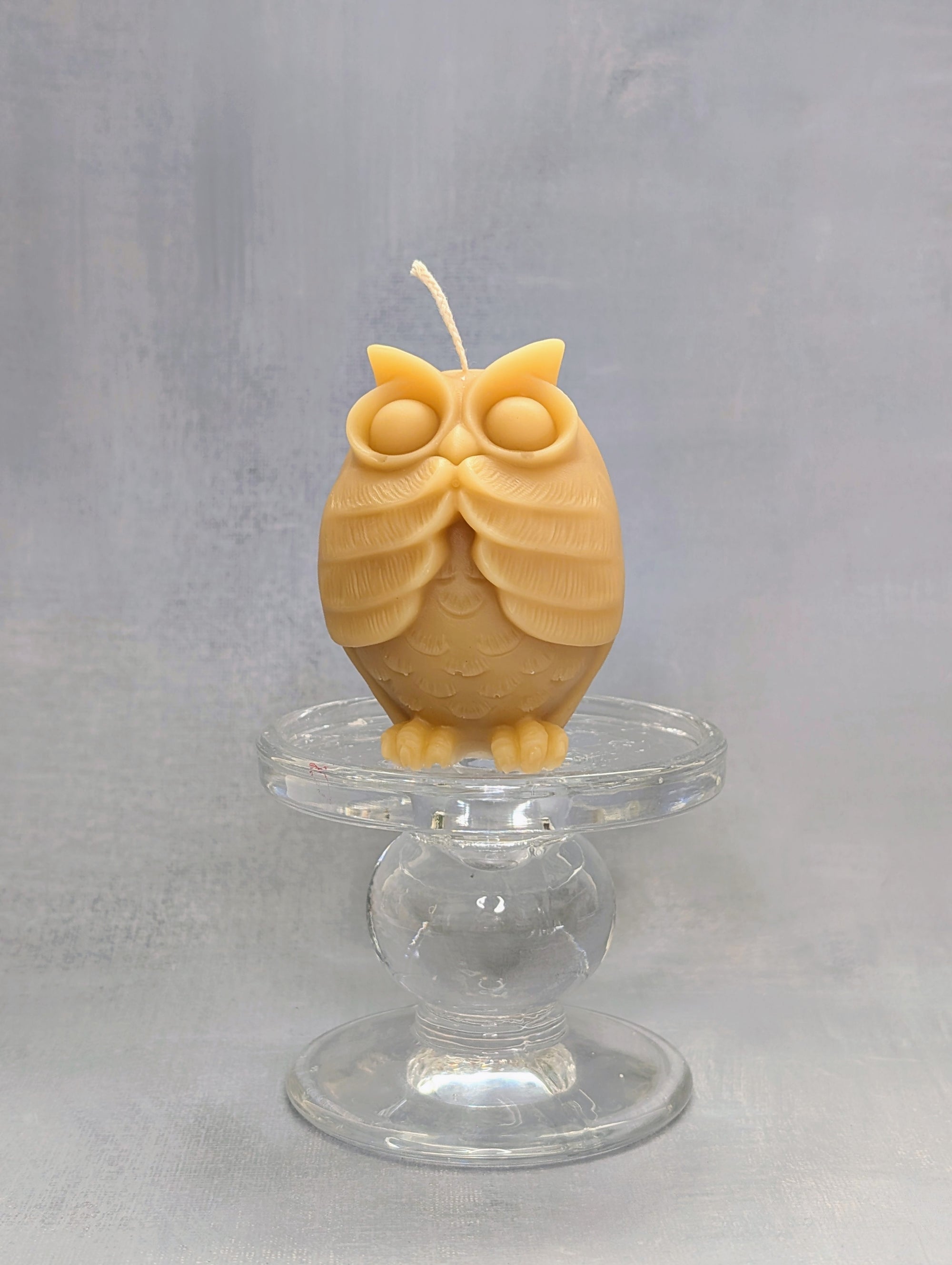 The Owl Enlightenment Set