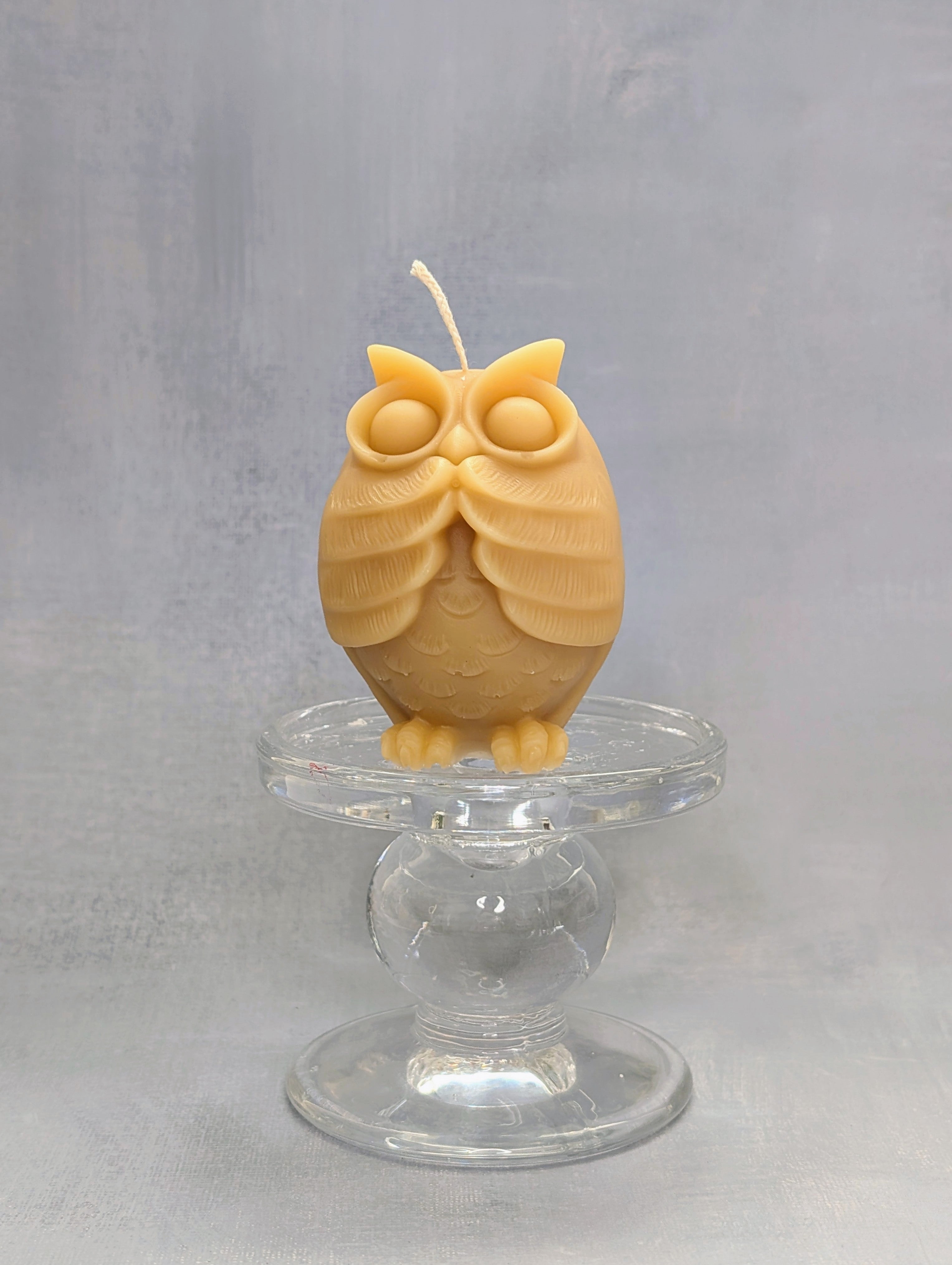 The Owl Enlightenment Set