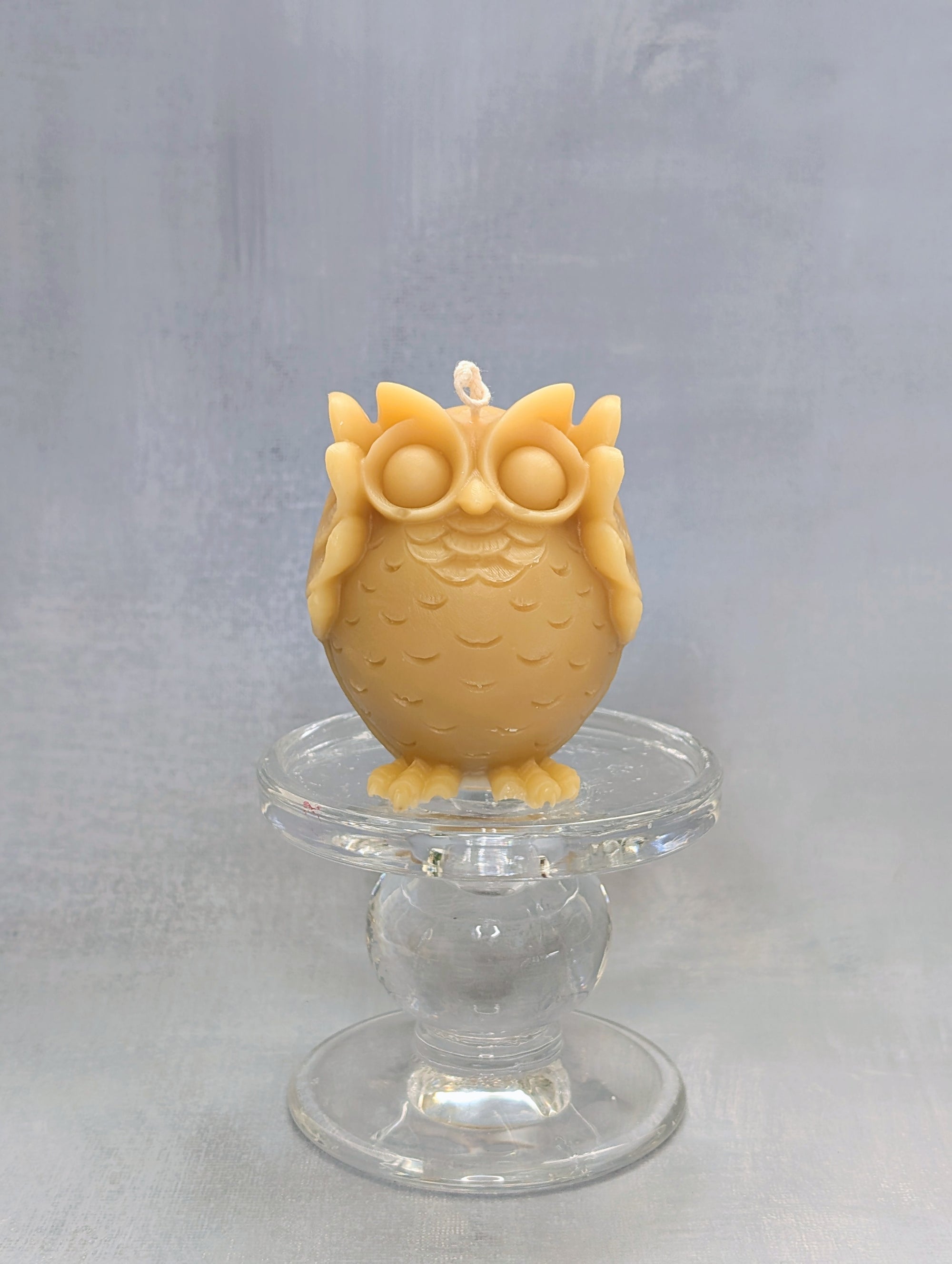 The Owl Enlightenment Set